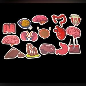 Colored organ stickers